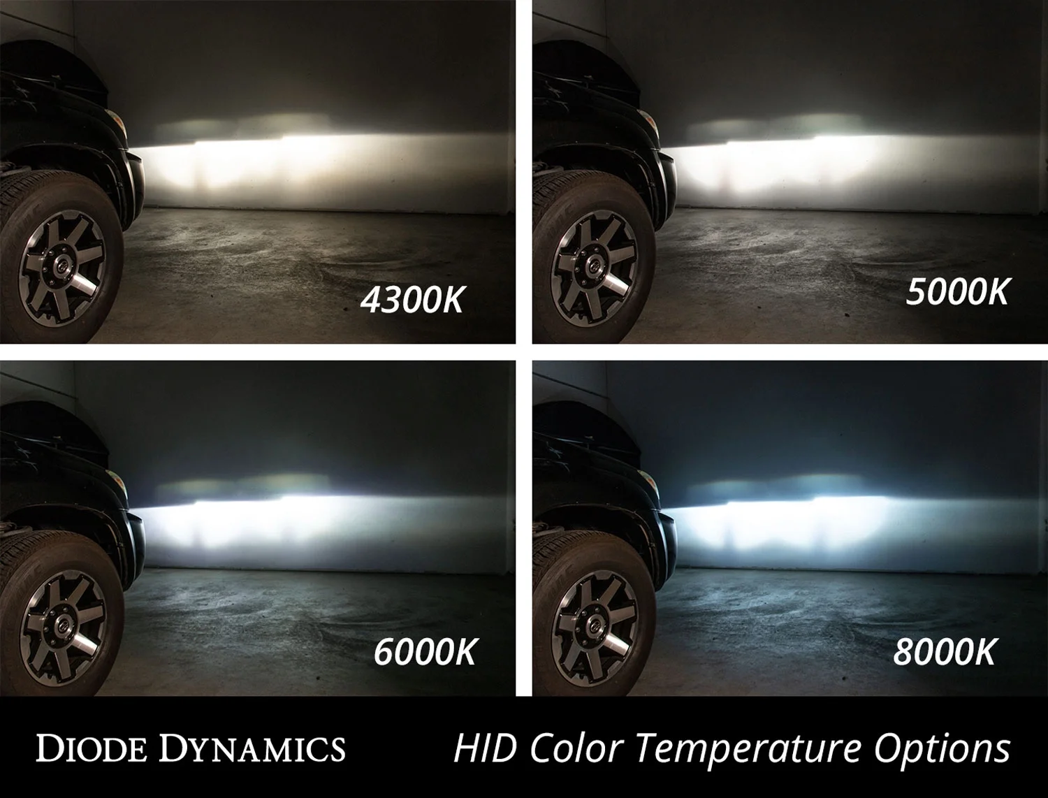 Diode Dynamics HID Bulb D3S 5000K Pair