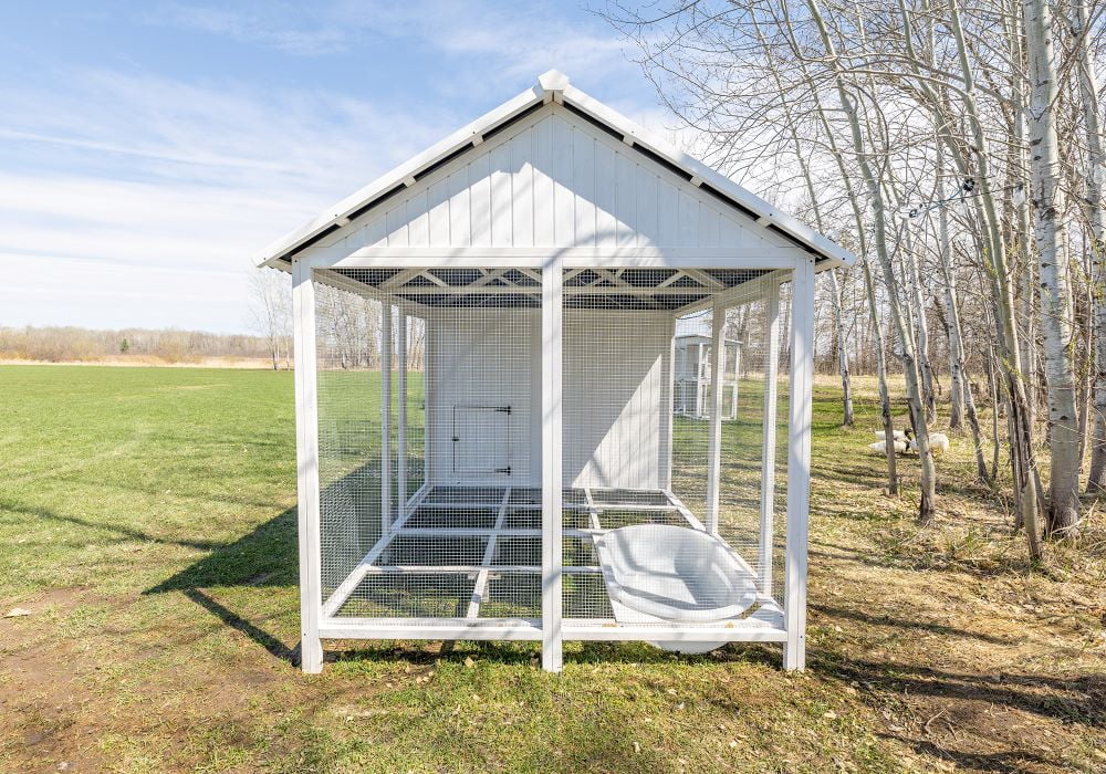 Zylina Modern Duck Barn - Duck Coop - Image 4