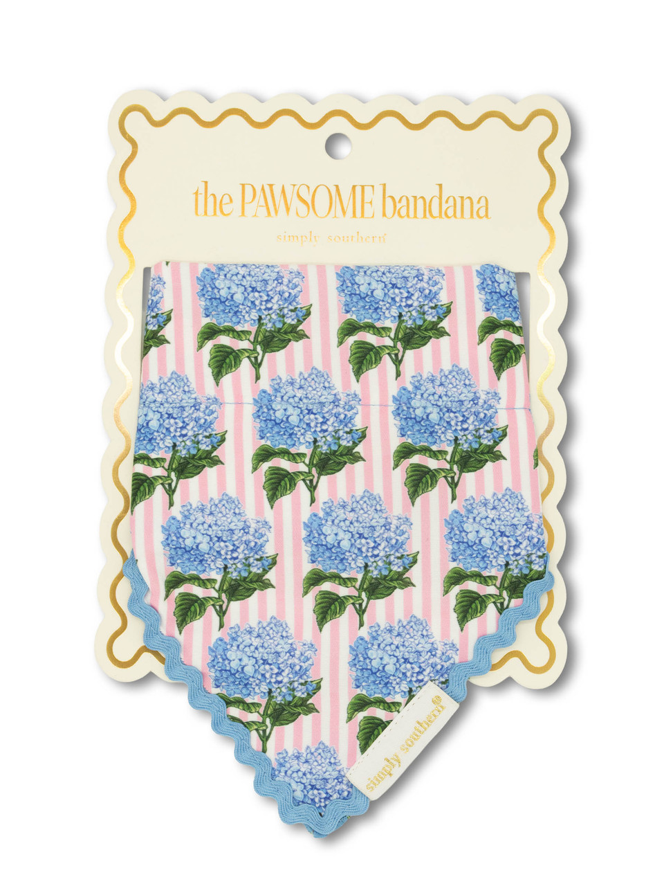 0126-PET-BNDN-PAWSOME-HYDSTR - Simply Southern Outlet