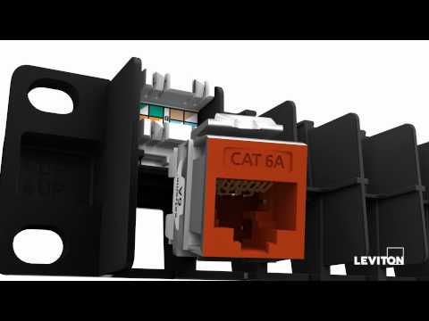 Leviton White 8-Conductor Cat-6 Connector Jack