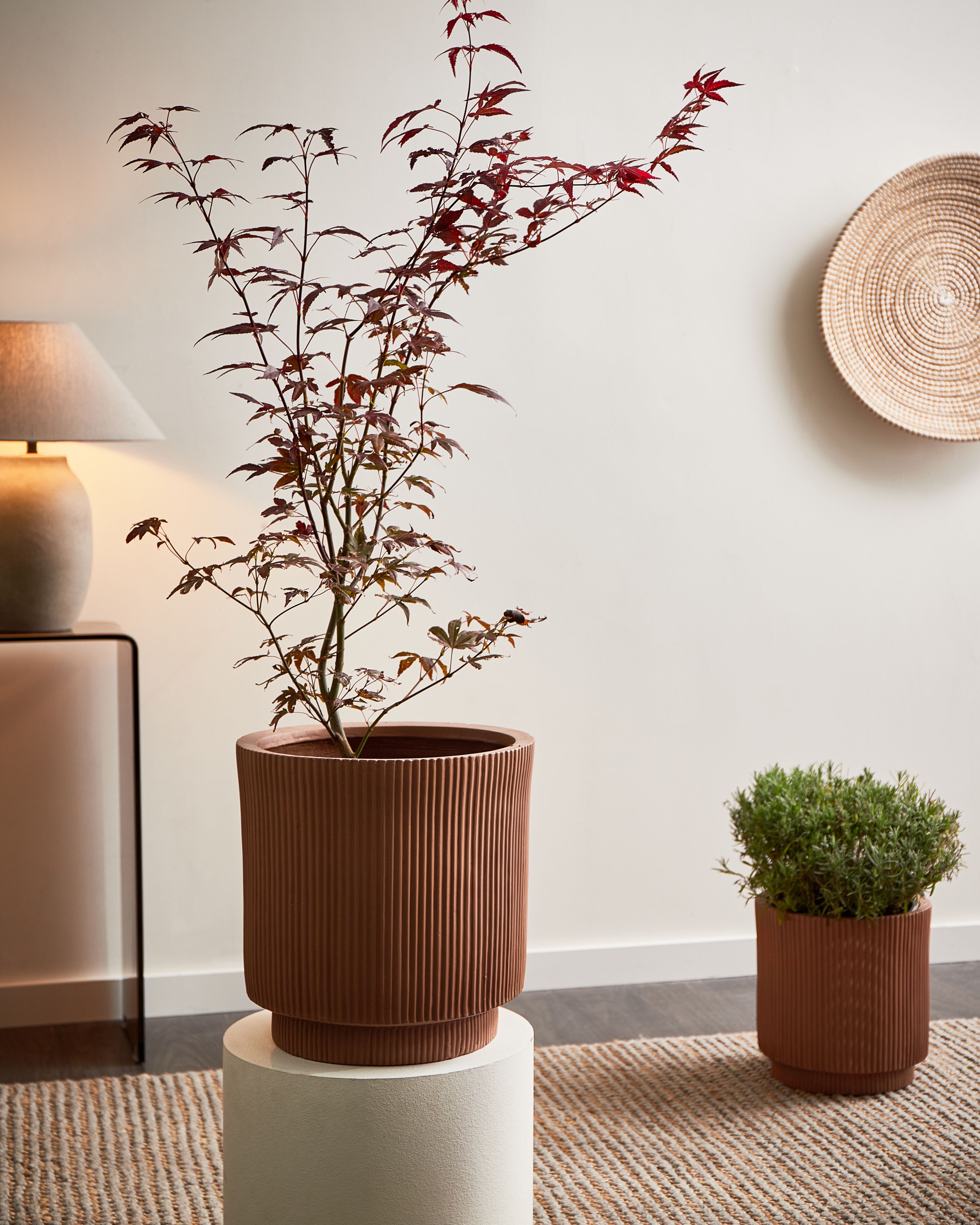 Plant Pot DARIA 37 cm Brown