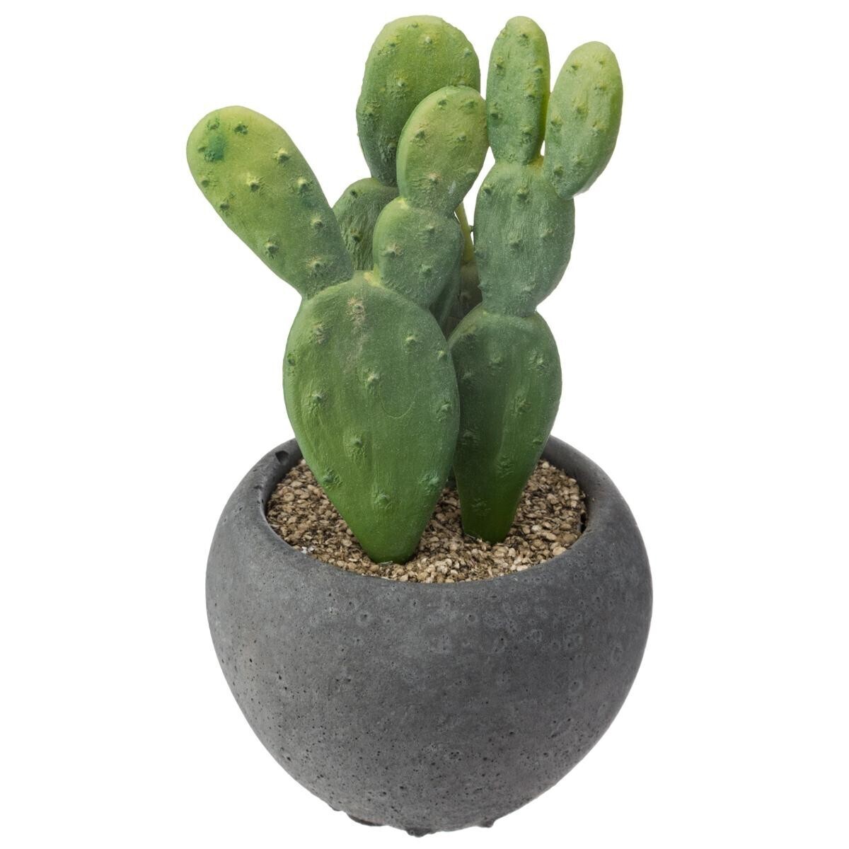 Artificial cactus Cement pot, H.11,5 cm