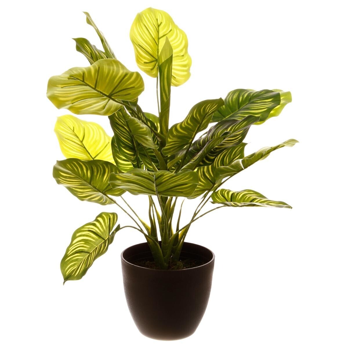 Artificial plant H.45 cm