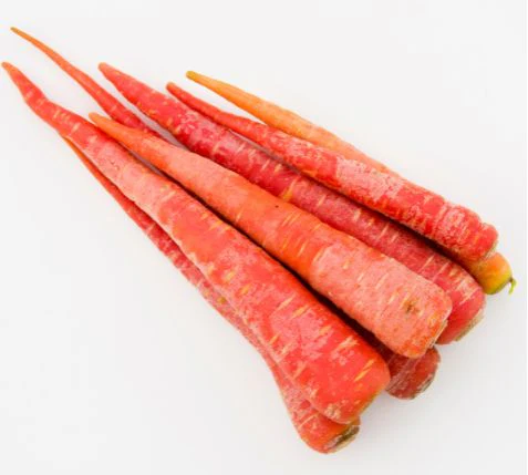 Red carrots – sweet and aromatic root vegetables in rich color