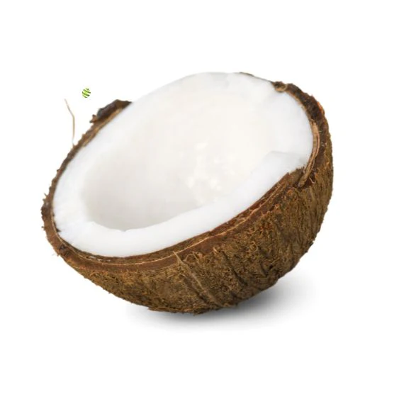 Coconut – Fresh tropical fruit for cooking, snacks & drinks