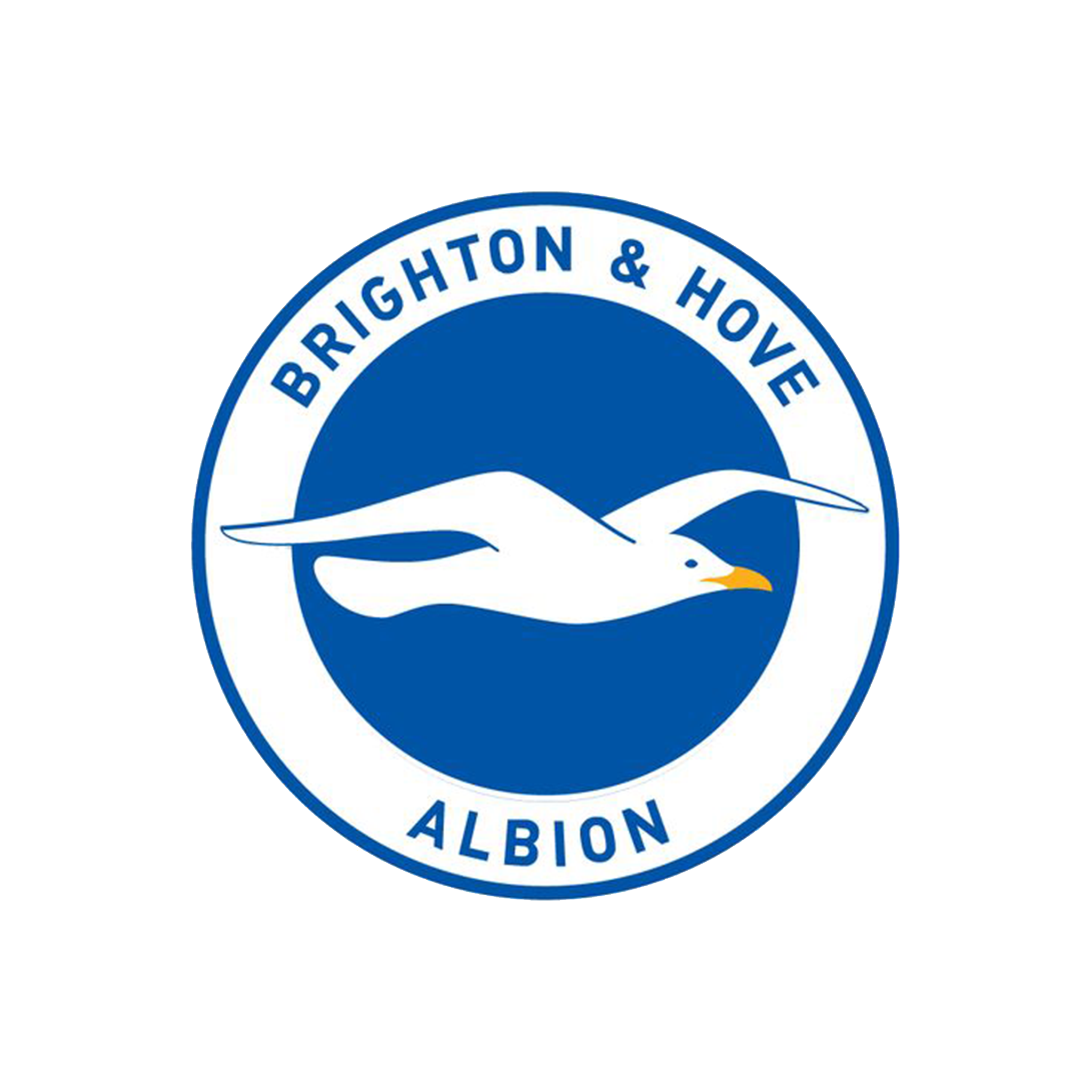 Brighton - YY Trading Co., Ltd.
