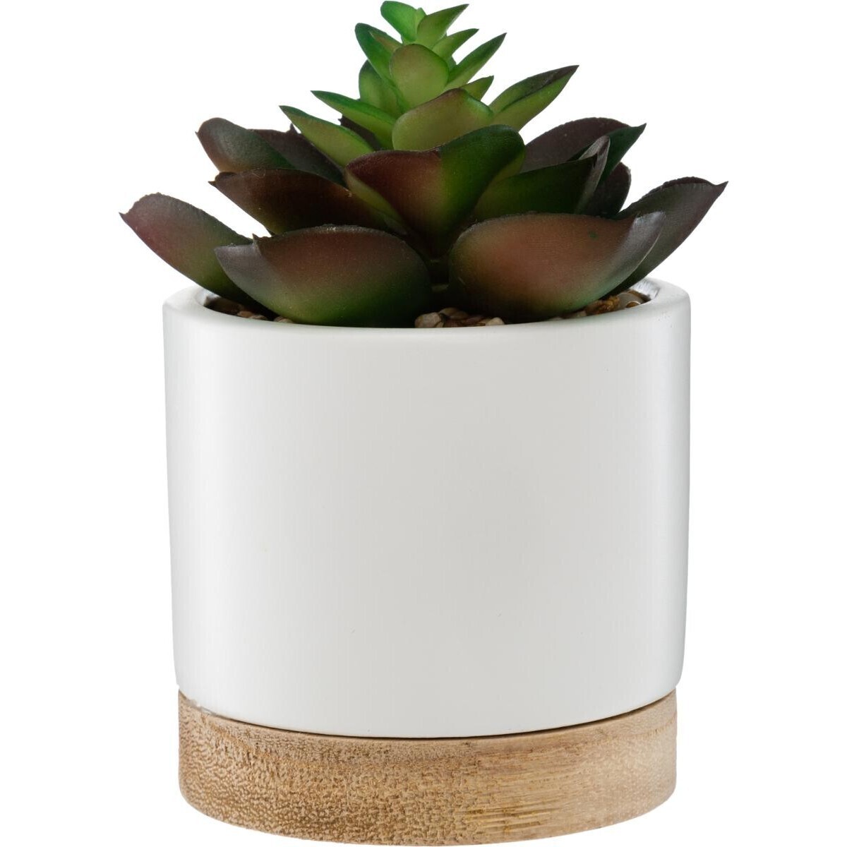 Artificial succulent Ceramic pot, H.12 cm