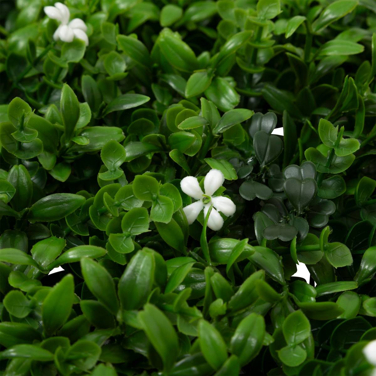 Plant square "Izy" Green, 50x50 cm