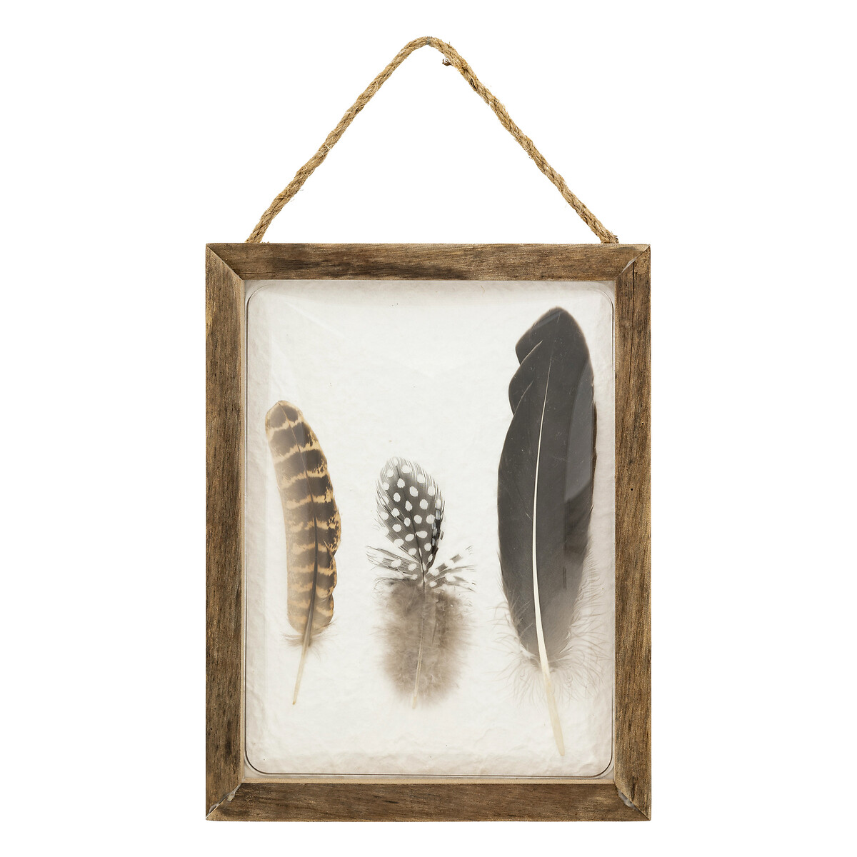 Curved feather wall art "Jonas" 20x25 cm