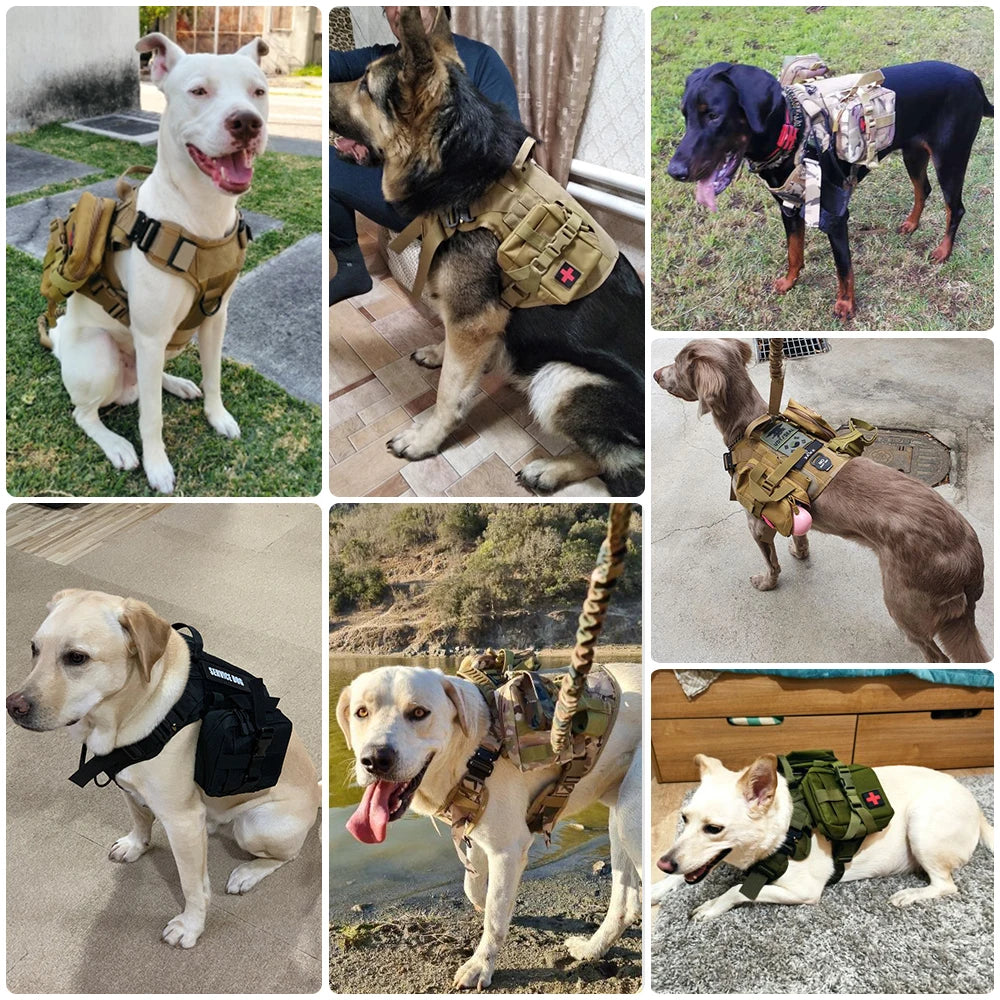 GuardPaw | Tactisch Hondharnas en Leash Set