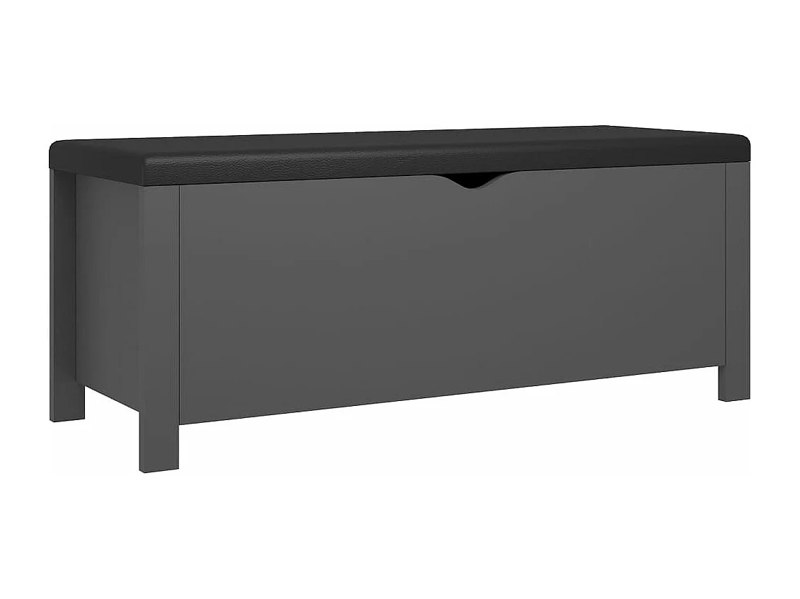 Boîte de rangement et coussin Gris 105x40x45 cm Bois ingénierie
