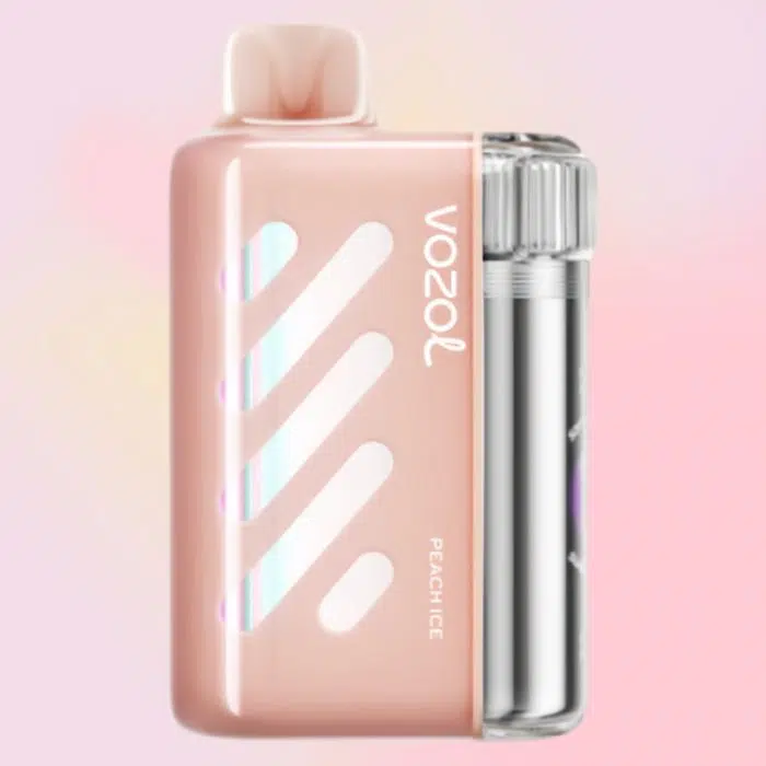 VOZOL VISTA 40000 puffs