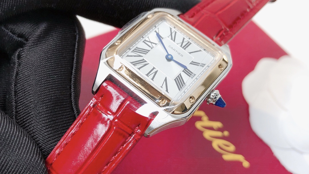 Santos Demoisell Santos Collection - Stainless Steel Mini Model Red(1:1 replica) - Top club