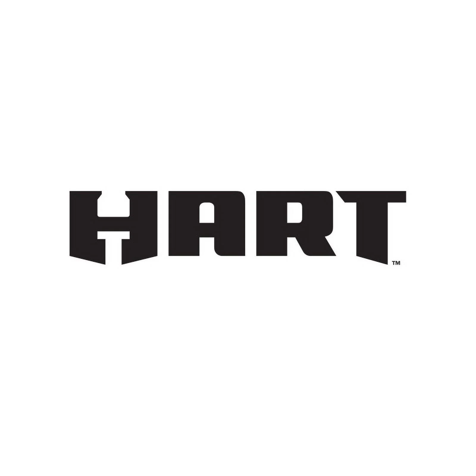 HART 20V Dual Function Inflator with 2-Pack 4AH Battery Kit Bundle - Image 4