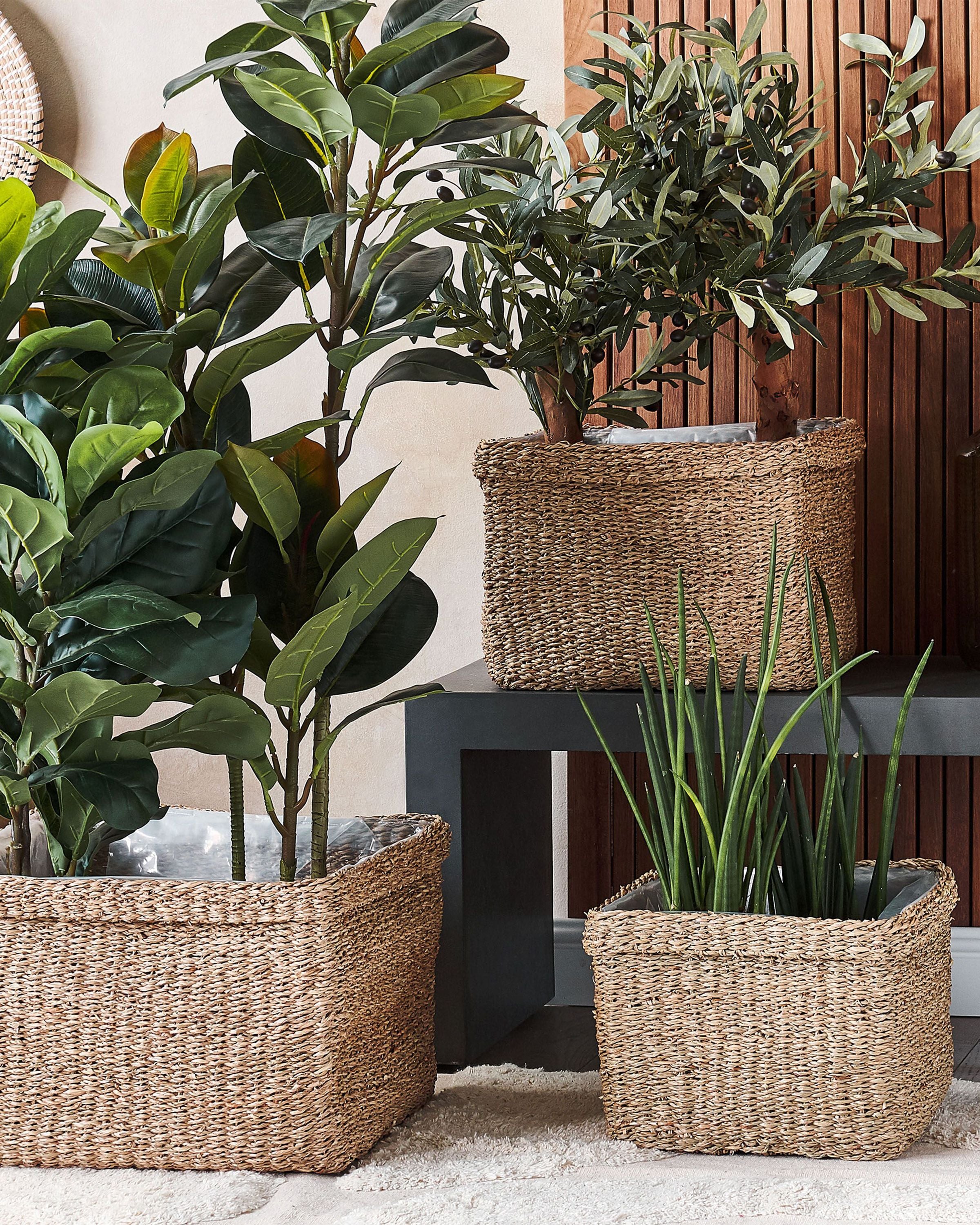 Set of 3 Plant Pots RIVULINE Seagrass 23/27/30 cm Natural