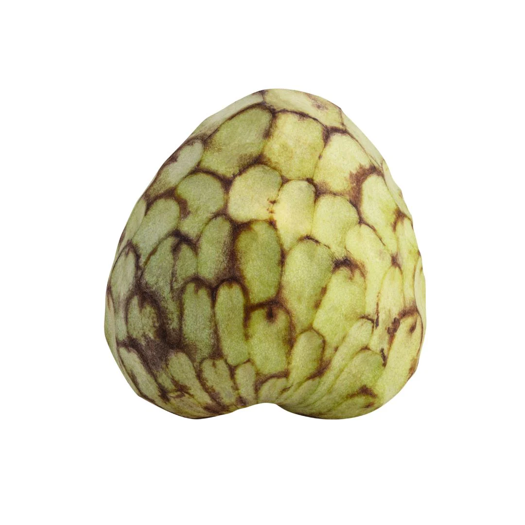 Cherimoya – The creamy sugar apple fruit
