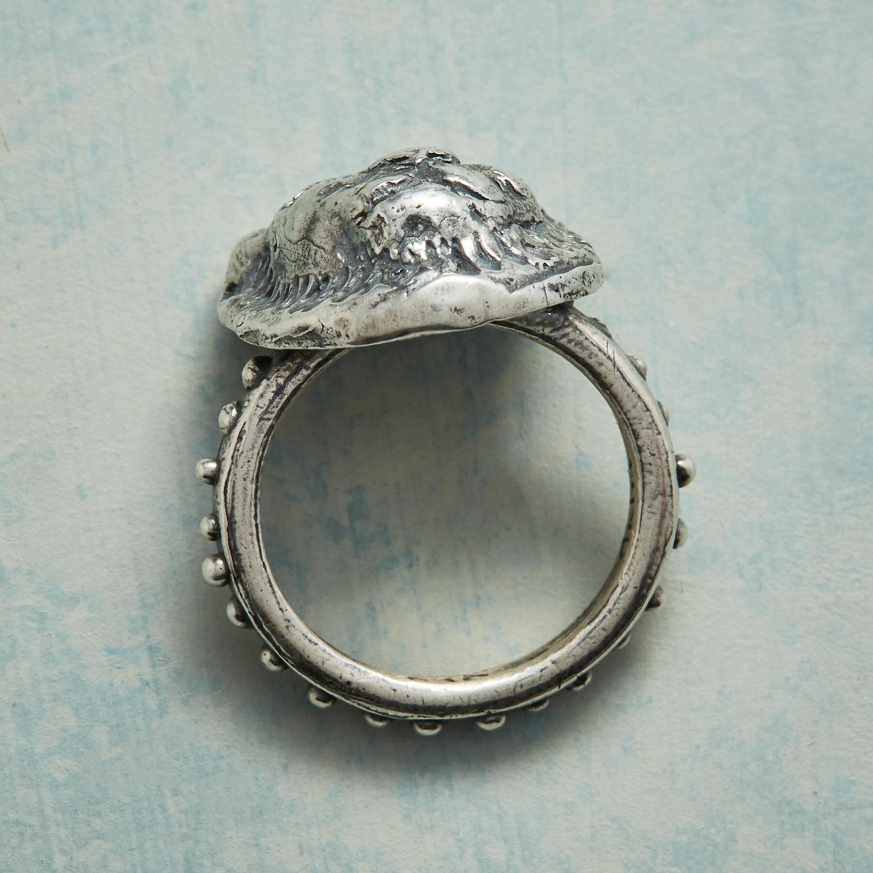 Courage And Truth Ring - Sundance Clothing