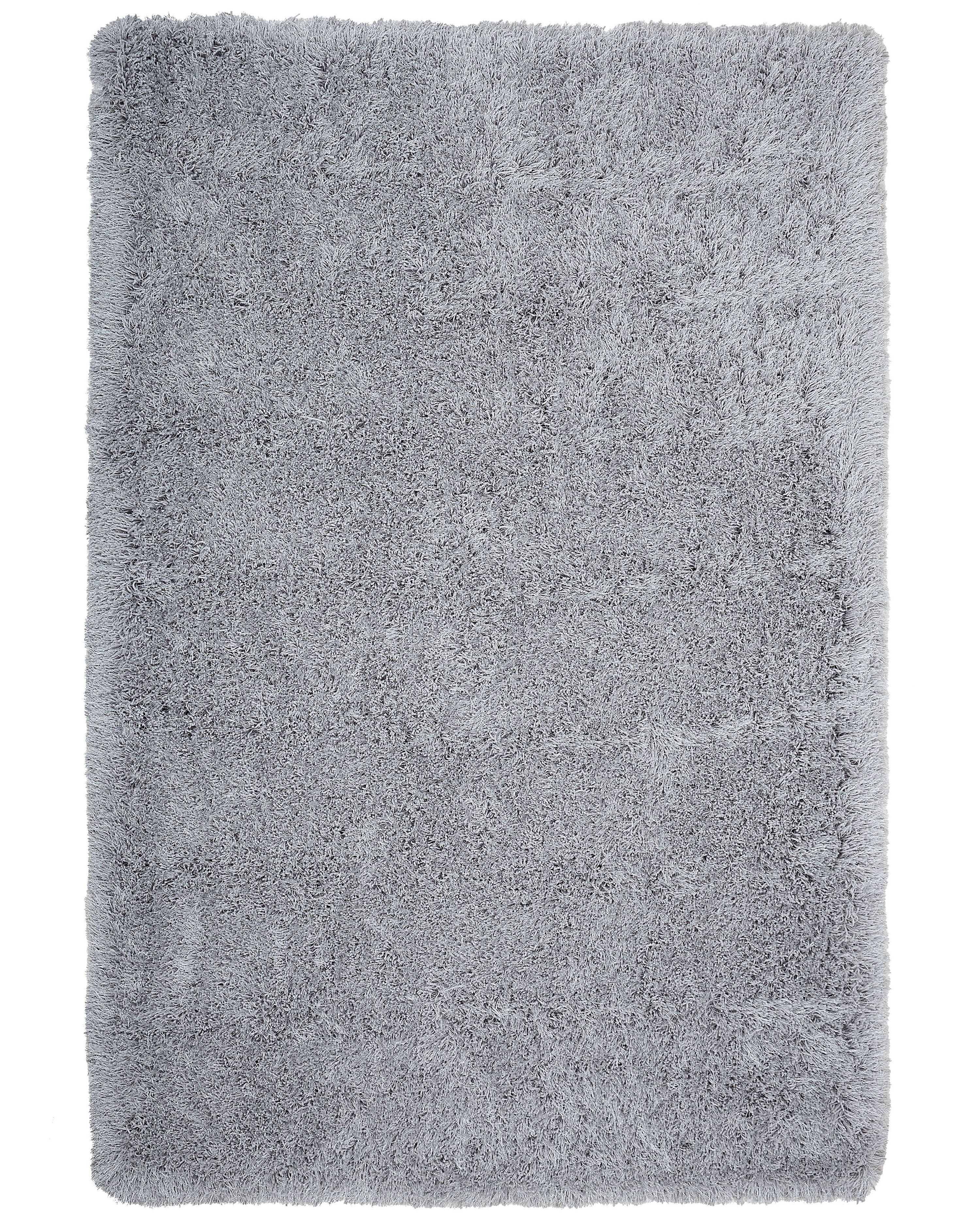 Shaggy Rug CIDE Light Grey 200 x 300 cm