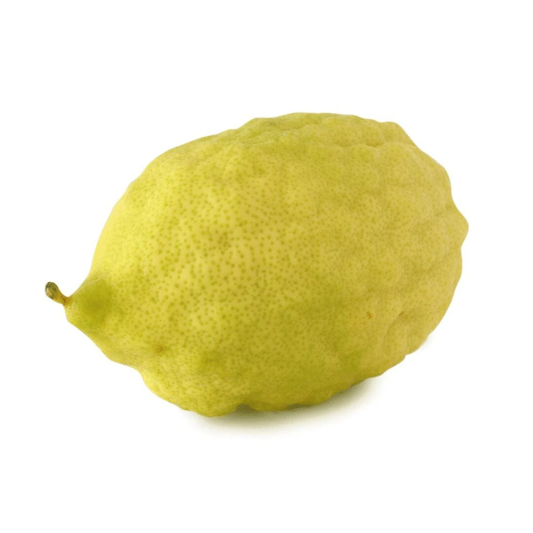 Etrog – Rare citrus fruit for celebrations & special cuisine