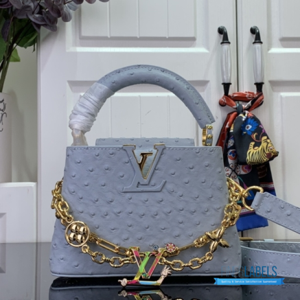 Powder Blue Ostrich Leather Mini Handbag with Gold Charm Chain1:1High-quality replica