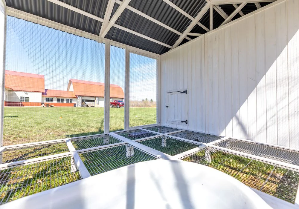 Zylina Modern Duck Barn - Duck Coop - Image 9