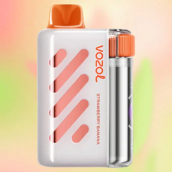 VOZOL VISTA 40000 puffs