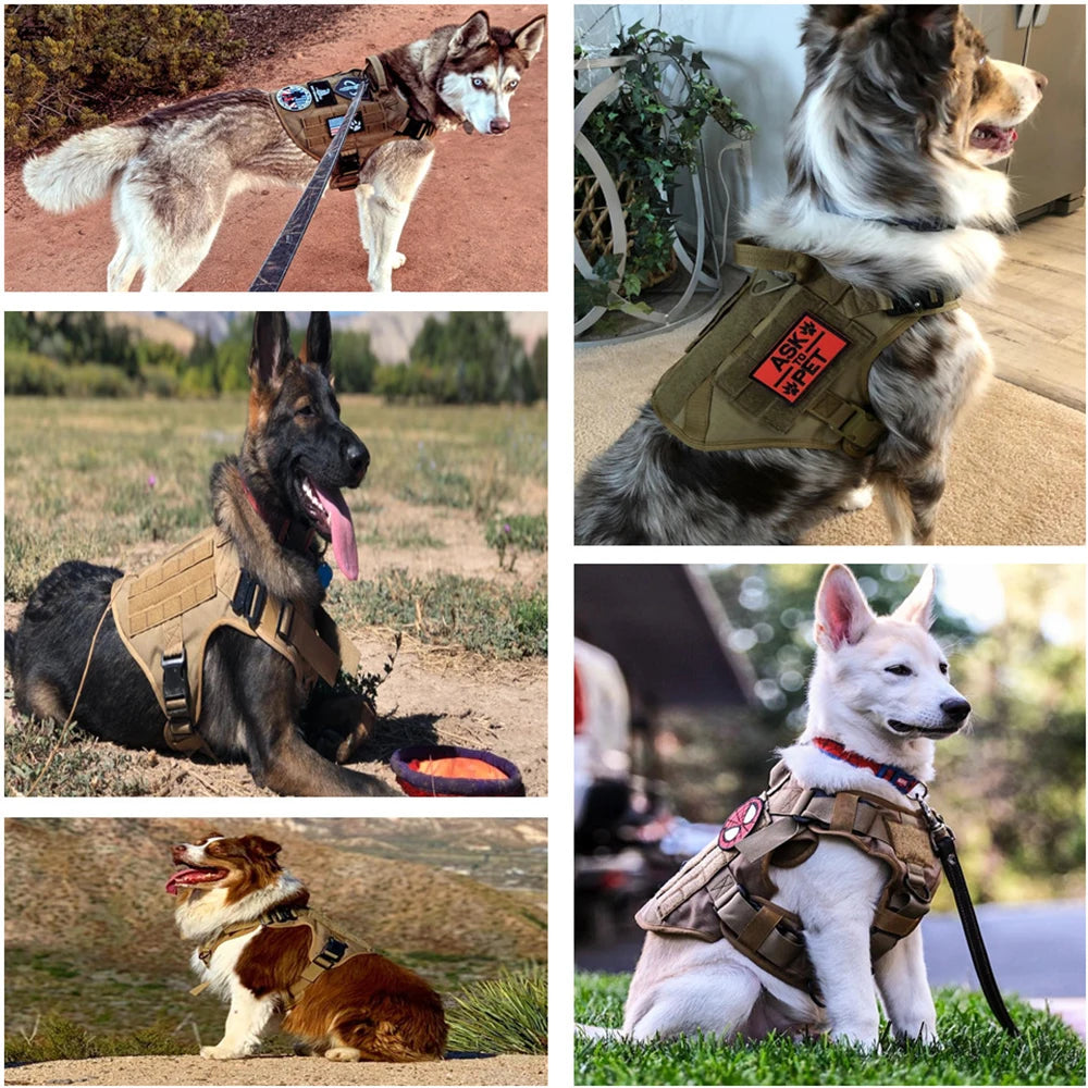 GuardPaw | Tactisch Hondharnas en Leash Set