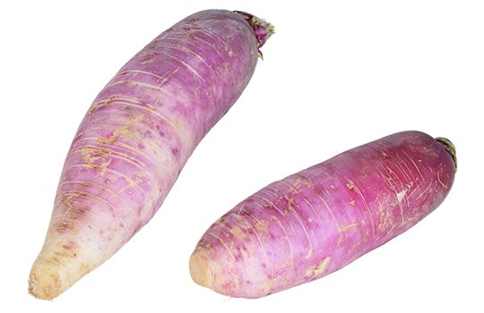 Radish Pink – delicate pink delight for raw vegetables and decorative plates