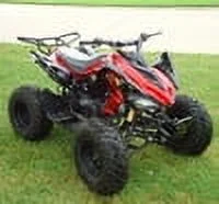 RPS 125cc ATV Rider 8 Big Tire - Image 27