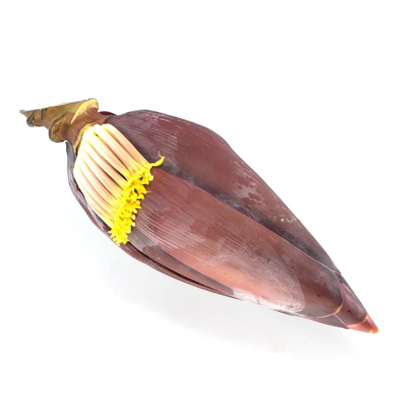 Banana blossom – Exotic ingredient for vegan & Asian cuisine