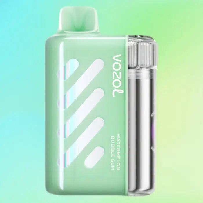 VOZOL VISTA 40000 puffs