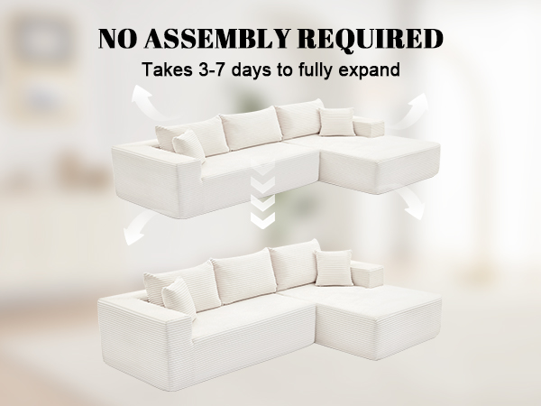 Cloud sectional sofa comfort view