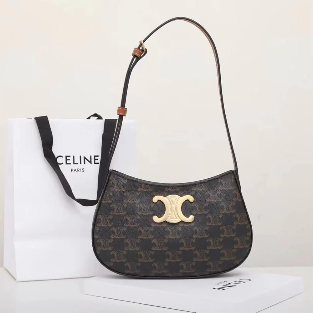 Celine Medium Tilly Bag in Triomphe Canvas and Calfskin