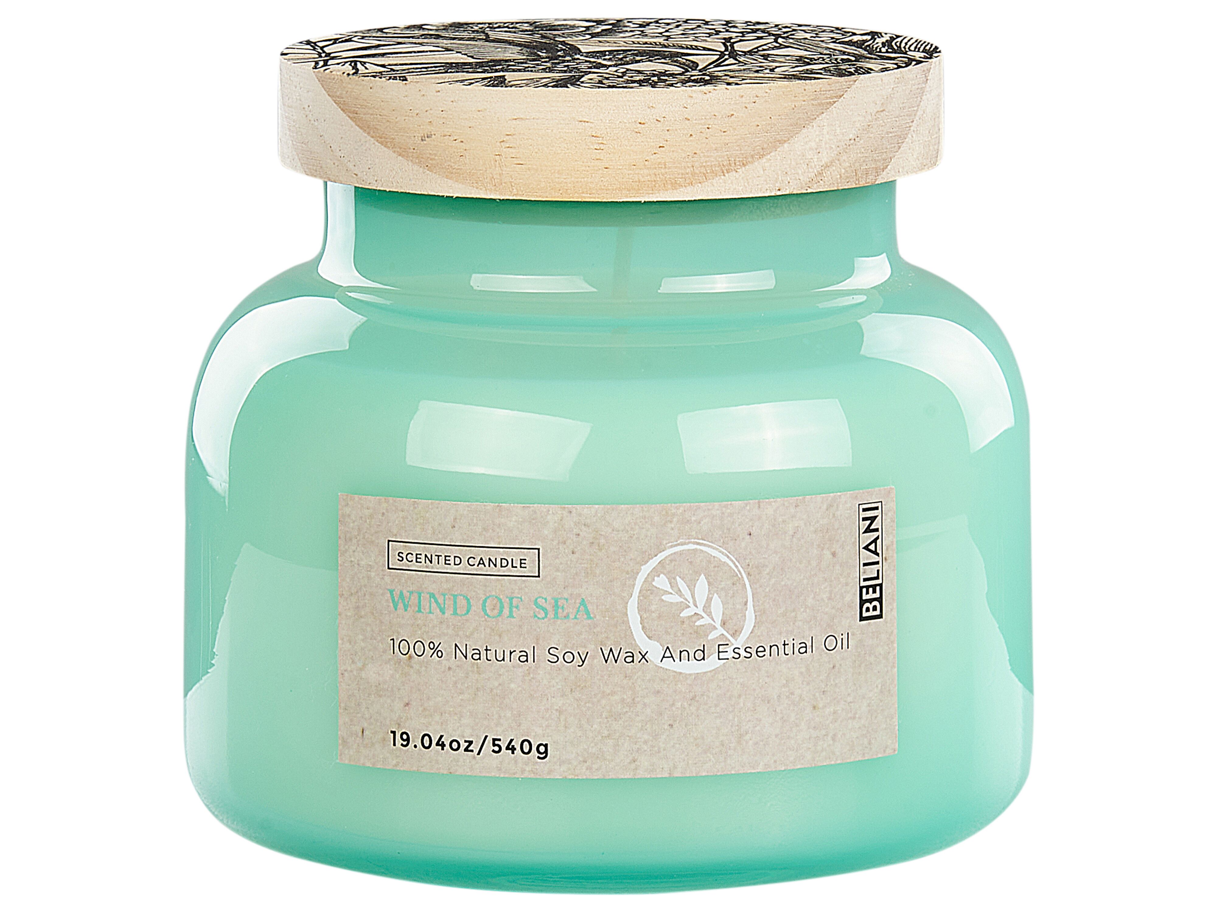 Scented Candle DELIGHT BLISS Soy Wax Fresh Notes