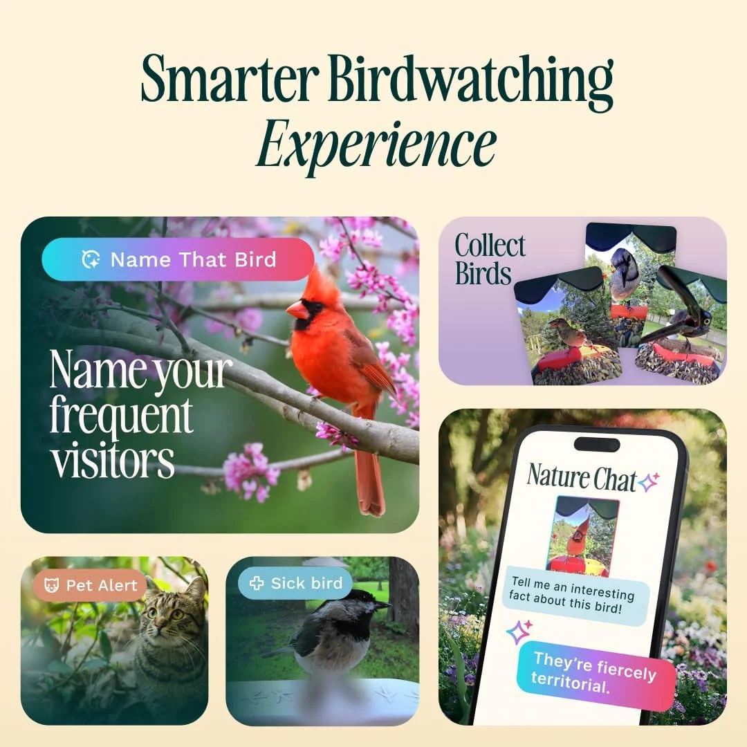 Birdbuddy PRO Solar Smart Bird Feeder With Camera, 5MP Photos, 2K HD Video, Blue - PRO - Image 6 Birdbuddy PRO Solar Smart Bird Feeder With Camera, 5MP Photos, 2K HD Video, Blue - PRO - Image 6