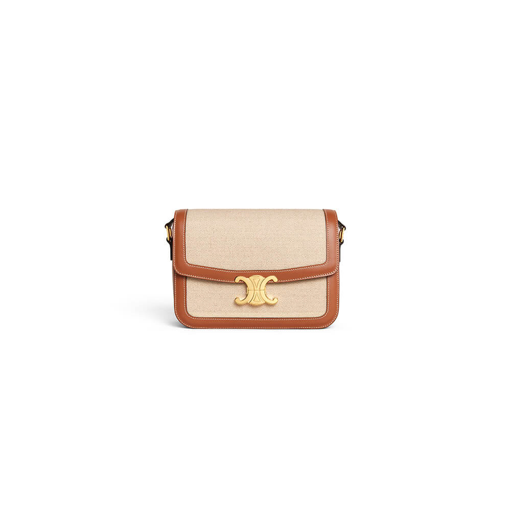 CELINE CLASSIQUE TRIOMPHE BAG IN TRIOMPHE CANVAS AND CALFSKIN
