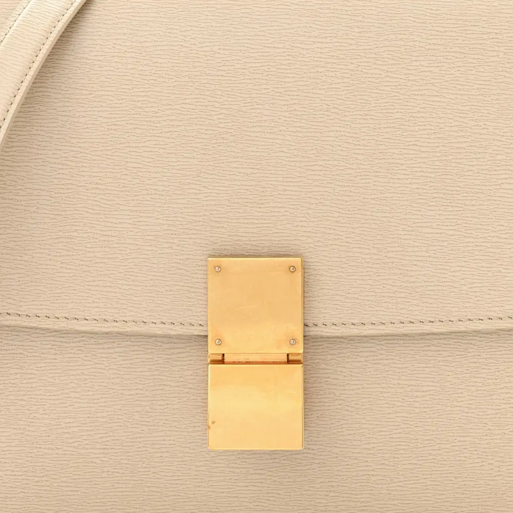 Superfake Celine Box Bag – Premium Quality Guaranteed1:1High-quality replica