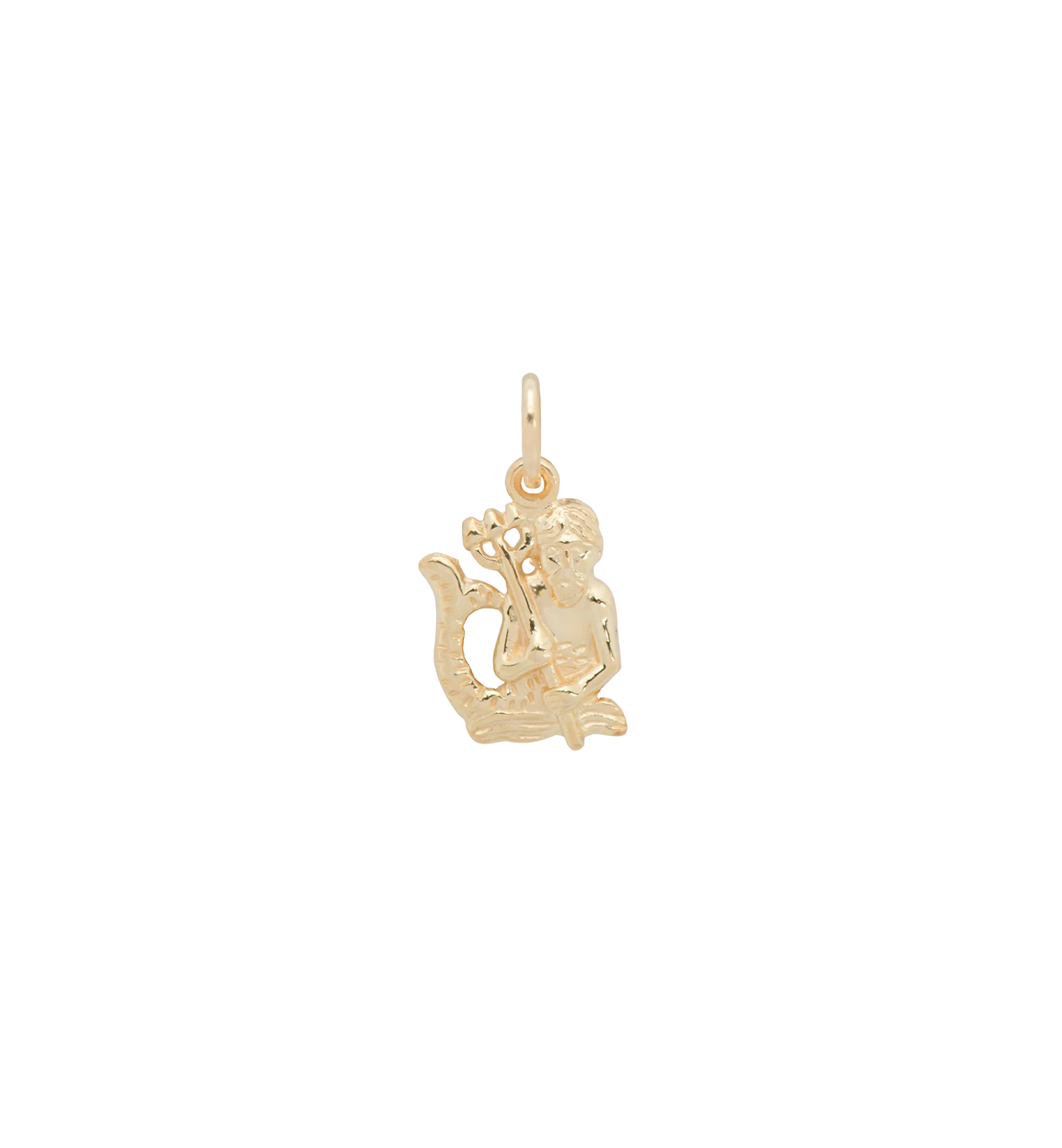Zodiac Charm 14K