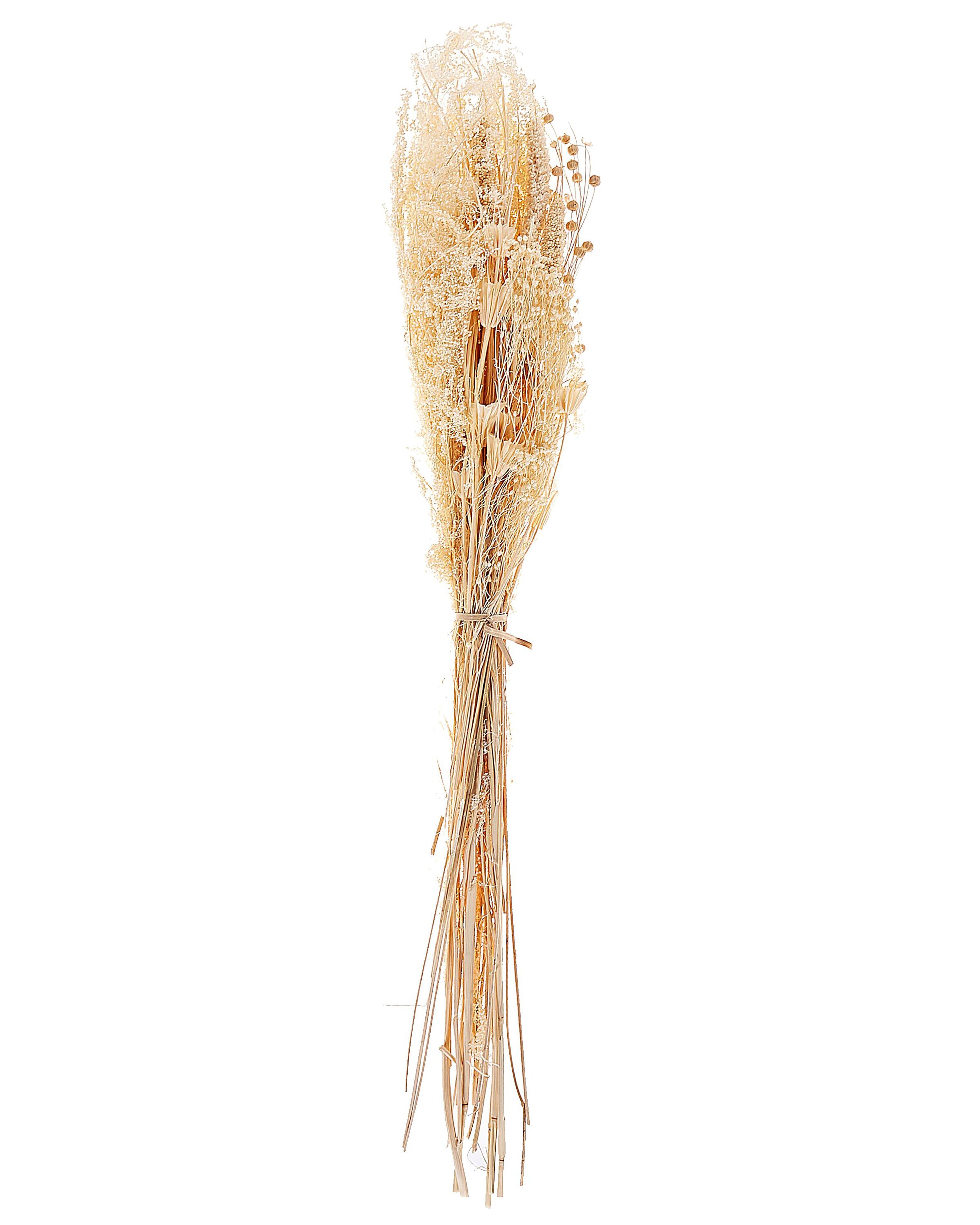 Dried Flower Bouquet BRUNETE 65 cm Natural