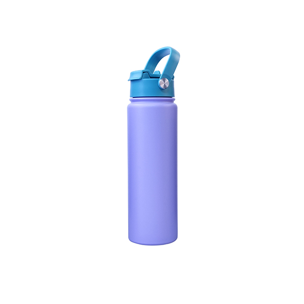 750ml Custom Direct Drinking Stainless Steel Tumbler with Handle Lid Vacuum Insulated Water Bottle for Gym and Travel