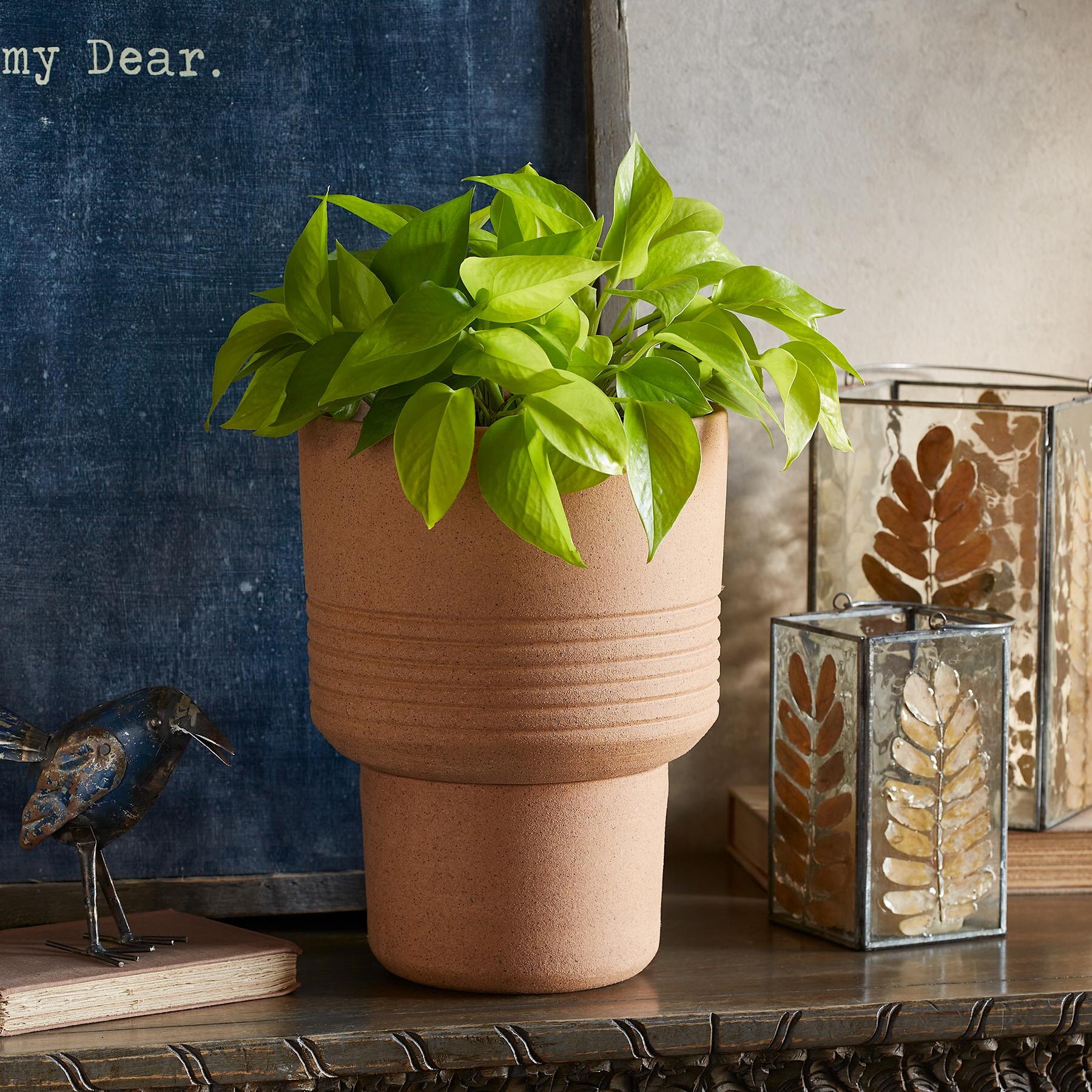 Local Roots Planter - Sundance Clothing