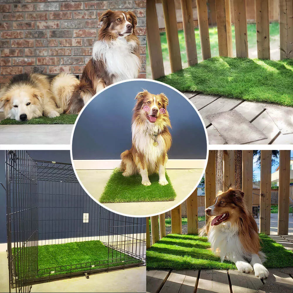 PawLawn | Binnen/Buiten Hondengrasmat met Lekbeveiliging