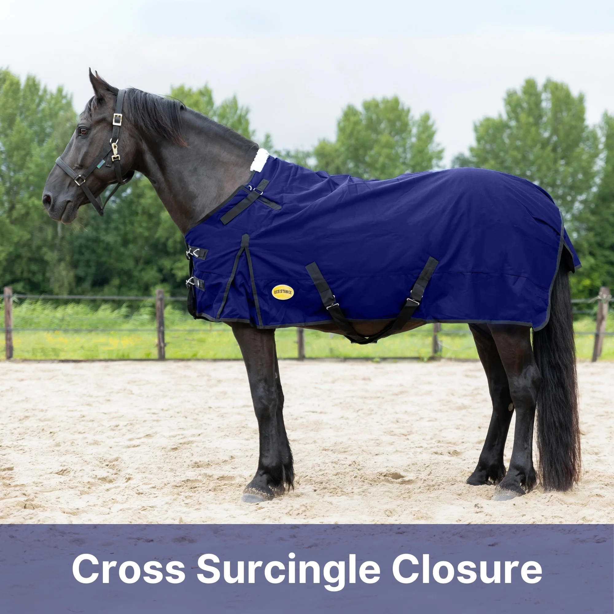 RESISTANCE Premium 1680D Waterproof Horse Turnout Blanket with 300g Polyfill & Adjustable Buckle Closure