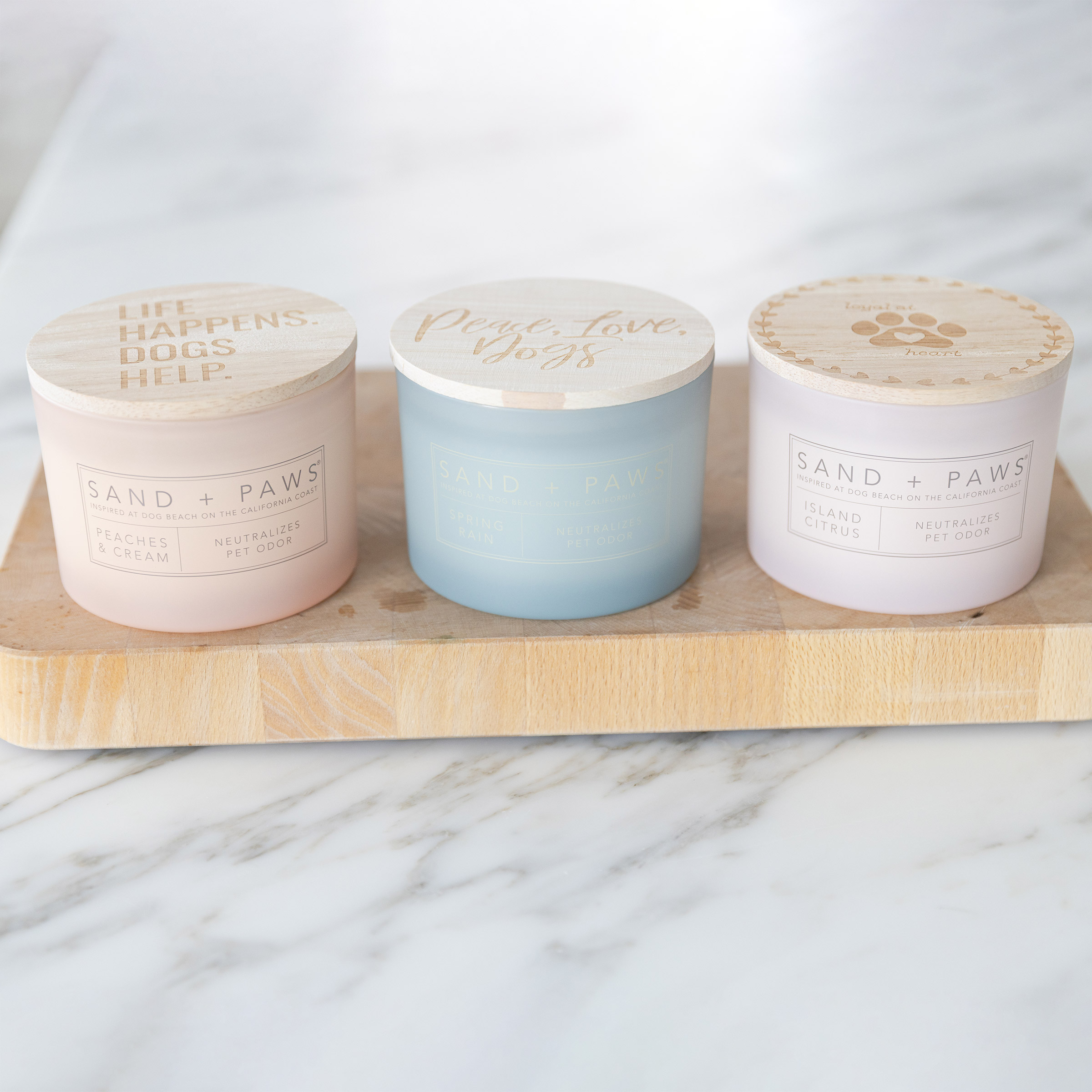 Sand + Paws 12 oz. Candles with Carved Wood Lids, Set of 3