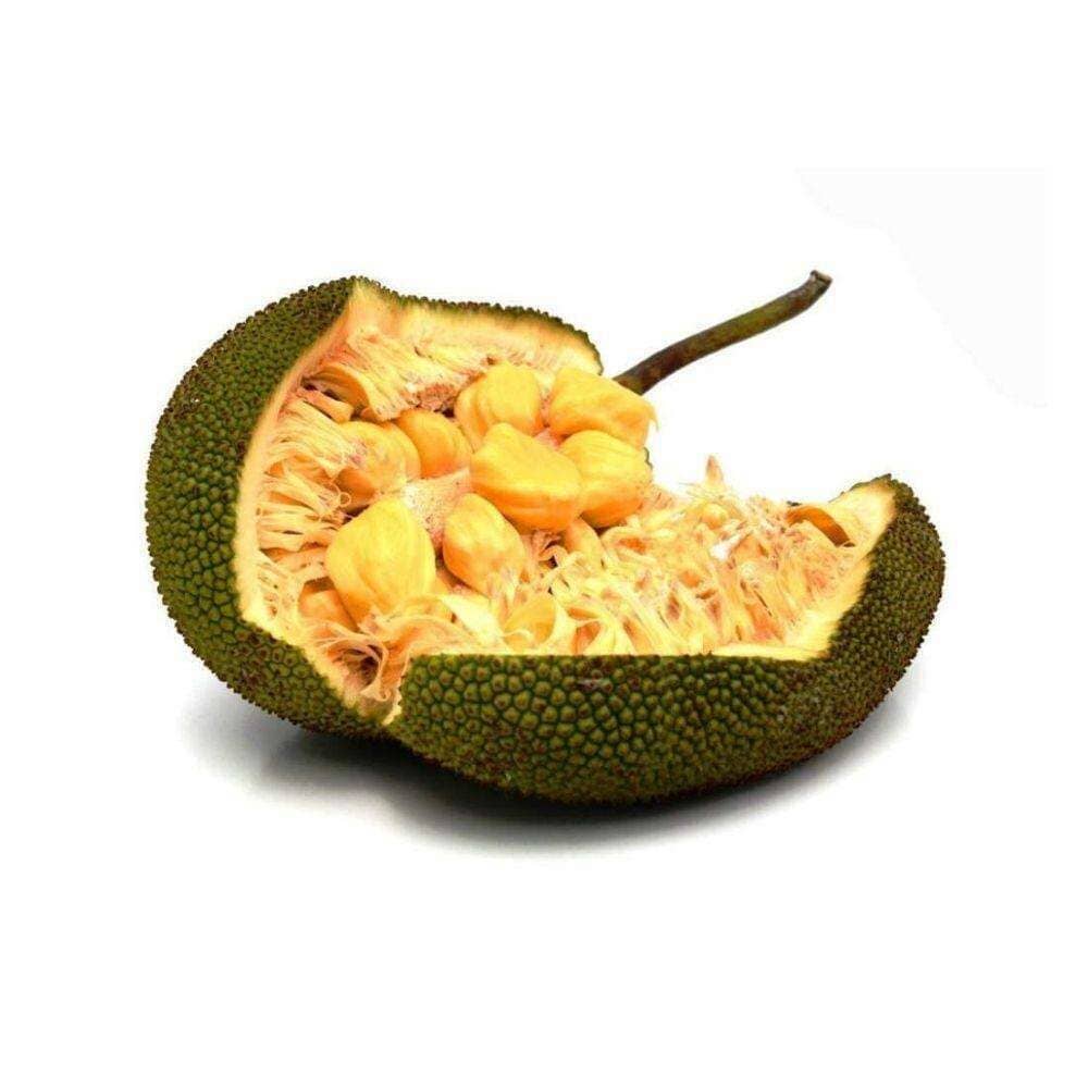 Jackfruit – Exotic giant fruit for vegan cuisine & more