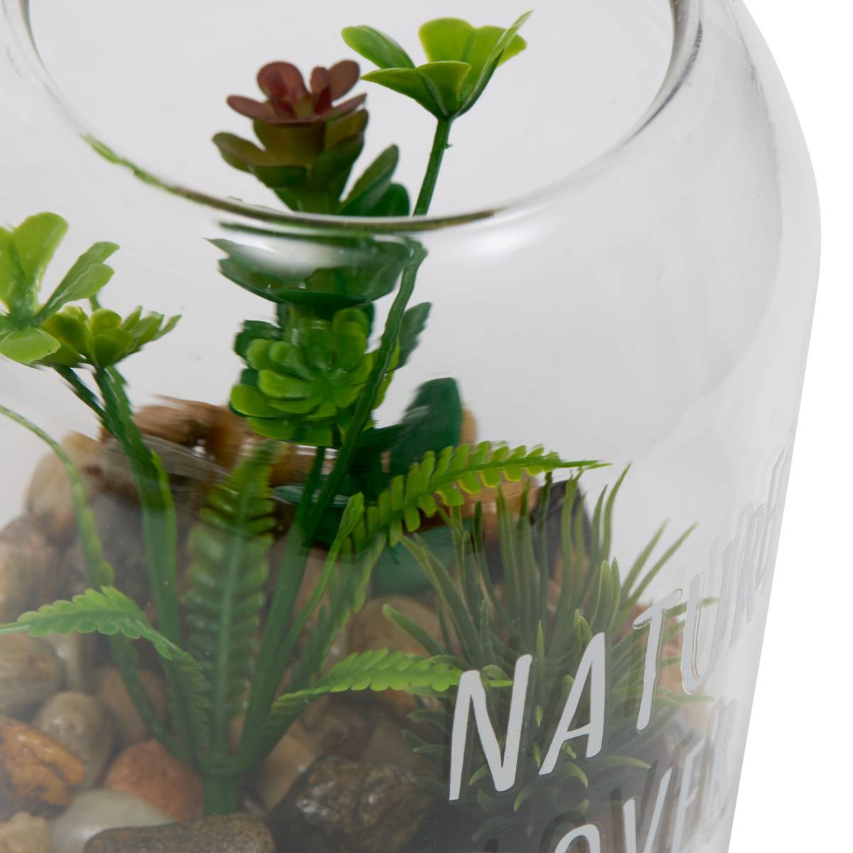 Terrarium "Ady" D.9 x H.12.5 cm