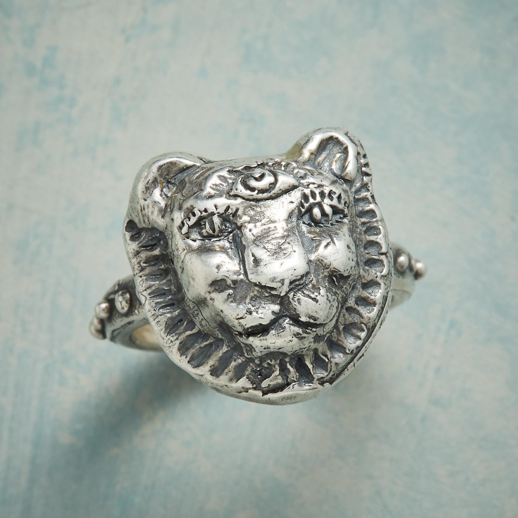 Courage And Truth Ring - Sundance Clothing