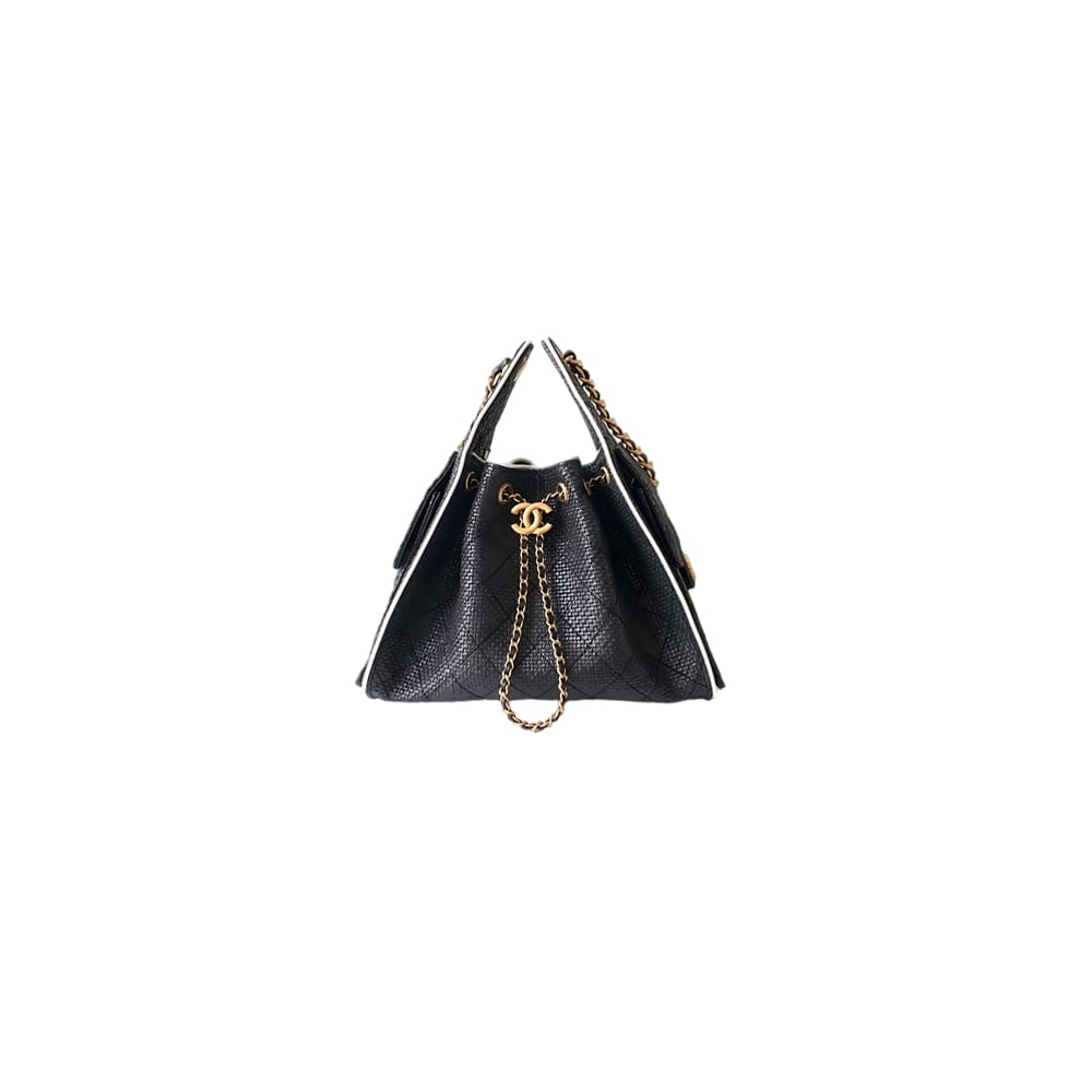 CHANEL 25 Small Handbag(HIGH-END GRADE)