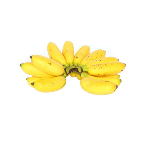 Apple Banana – Sweet and aromatic mini banana with apple notes