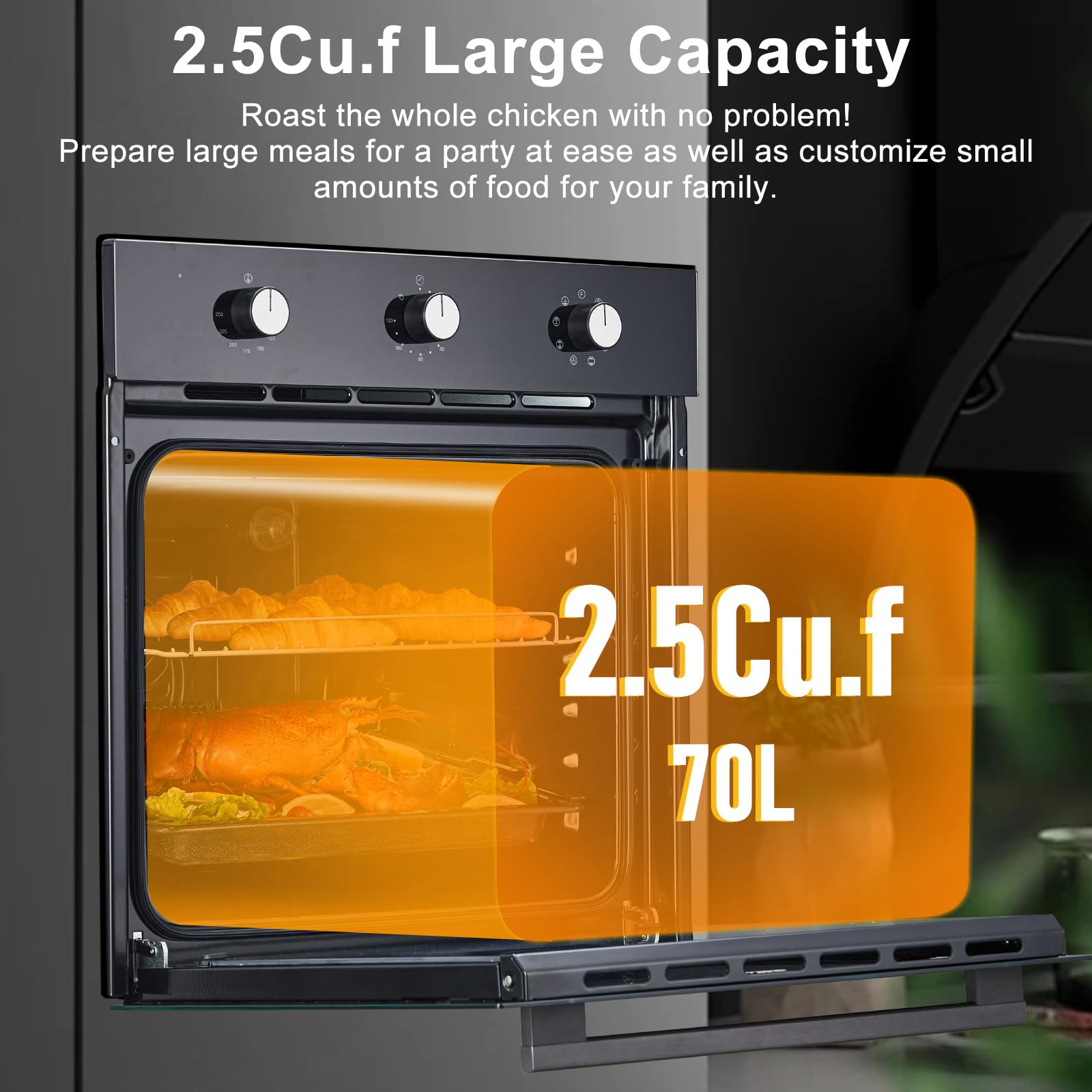 Single Wall Oven 24